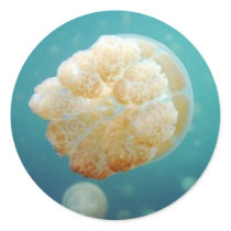 Jelly stickers
