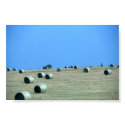 Jelly Wheat Rolls posters