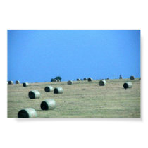 Jelly Wheat Rolls posters