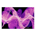 Jellyfish Ballet by Izana posters by izana Jellyfish Ballet by Izana posters
