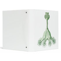Jellyfish Binders