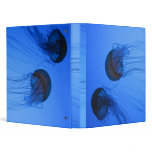 jellyfish 3 ring binders