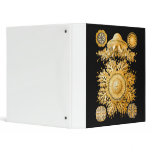 Jellyfish 3 Ring Binders