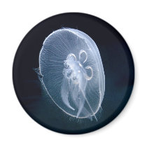Jellyfish Bright Translucent Blue Refrigerator Magnet