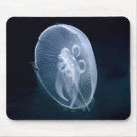 Jellyfish Bright Translucent Blue