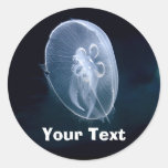 Jellyfish Bright Translucent Blue Round Sticker