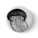 jellyfish, blackandwhite, photography, marinelife,
