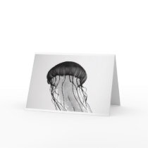 Jellyfish Greeting Cards