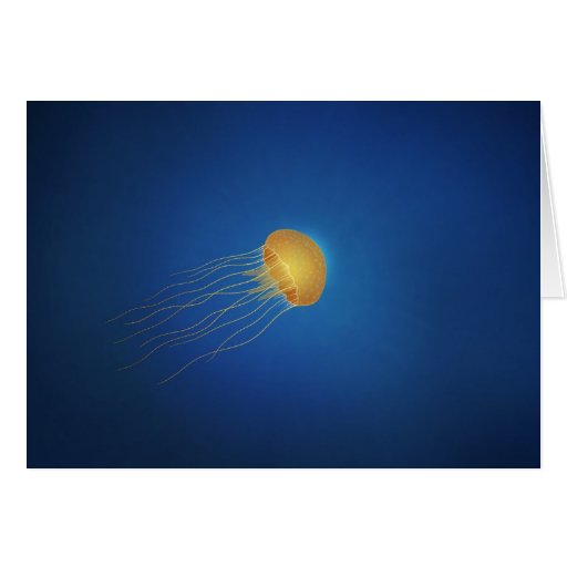 Jellyfish Cards