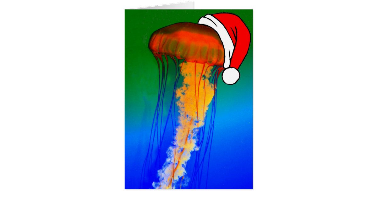 Jellyfish Christmas Greeting Card Zazzle
