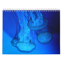 jellyfish cover calendar by pinkypetals jellyfish cover calendar