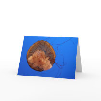 Jellyfish Greeting Card