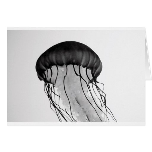 Jellyfish Greeting Cards