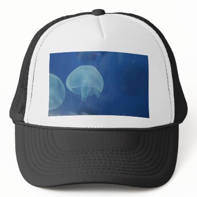 jellyfish trucker hats by jkingiv
