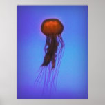 Jellyfish in Space Print