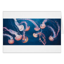 Jellyfish Jam by Paul Jackson, aws, nws Cards