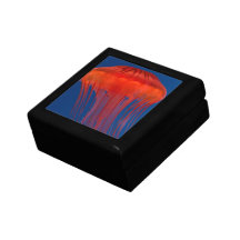 Jellyfish Jewelry Boxes