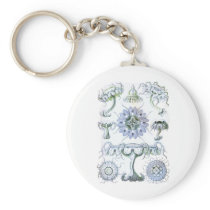 Jellyfish Key Chains