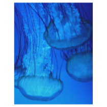 jellyfish letterhead by pinkypetals jellyfish letterhead