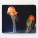 Jellyfish Mouse Mats