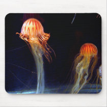 Jellyfish mousepads