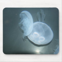 Jellyfish mousepads