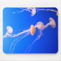 Jellyfish Mousepad by ashale8 Jellyfish Mousepad