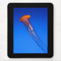 Jellyfish mousepads