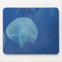 jellyfish mousepads