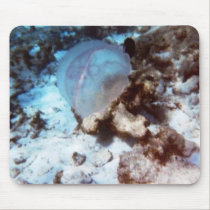 Jellyfish Mousepad mousepads