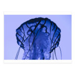 Jellyfish on Blue Post Card