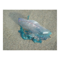 Jellyfish out of water. posters by on2raj_org Jellyfish out of water. posters