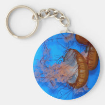Jellyfish Photo Key Chain