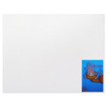 Jellyfish Photo Customized Letterhead