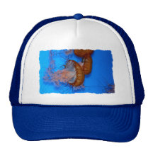Jellyfish Photo Mesh Hat