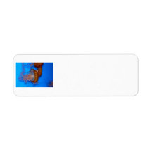 Jellyfish Photo Return Address Label