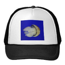 Jellyfish photo trucker hat