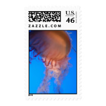 jellyfish postage by pizzidave jellyfish postage