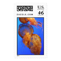 Jellyfish postage by piecey18 Jellyfish postage