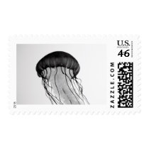 Jellyfish Stamps