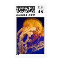 Jellyfish  Postage