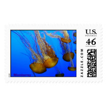 Jellyfish postage