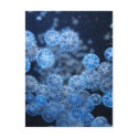 Jellyfish Postcard