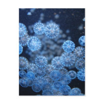 Jellyfish Postcard by blumenthalphoto Jellyfish Postcard