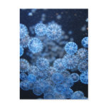 Jellyfish Postcard