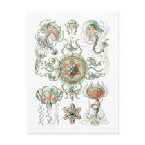 Jellyfish Post Cards