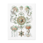 Jellyfish Post Cards