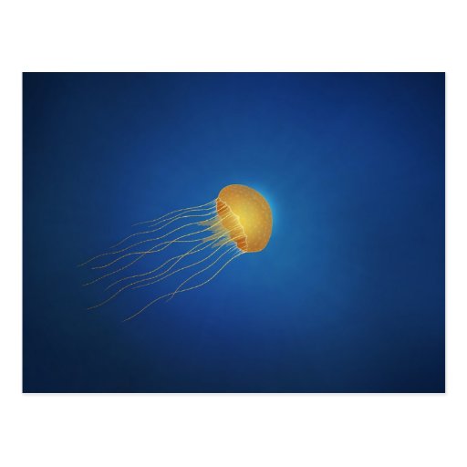 Jellyfish Postcards