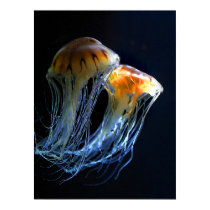 Jellyfish Poster posters by PixelArt Jellyfish Poster posters