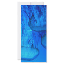 jellyfish rack card